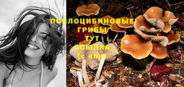 бутират Белокуриха