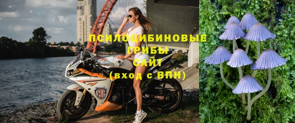 бутират Белокуриха