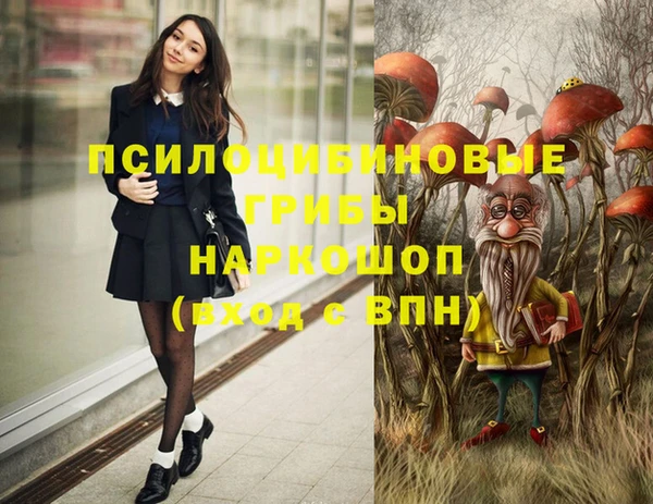 бутират Белокуриха