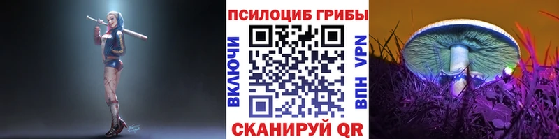 Галлюциногенные грибы Psilocybe  Чегем 