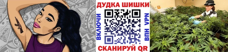 Конопля индика  Чегем 